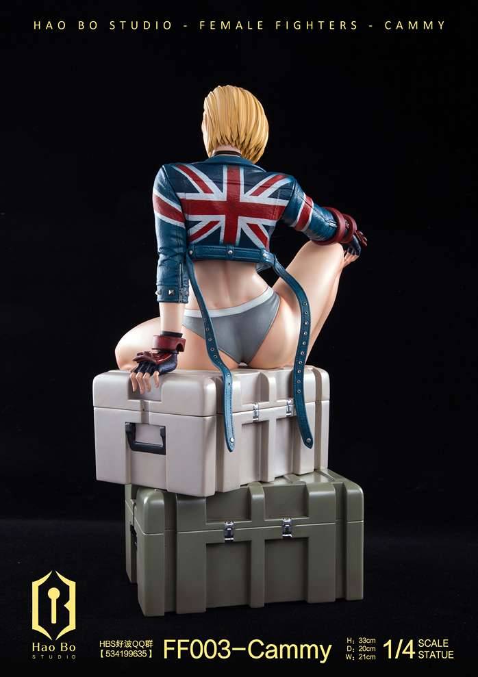 Hao Bo Studio - Cammy 1/4 | Mirai Collectibles
