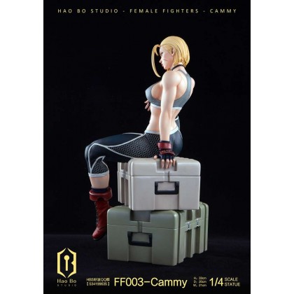 Hao Bo Studio - Cammy 1/4 | Mirai Collectibles