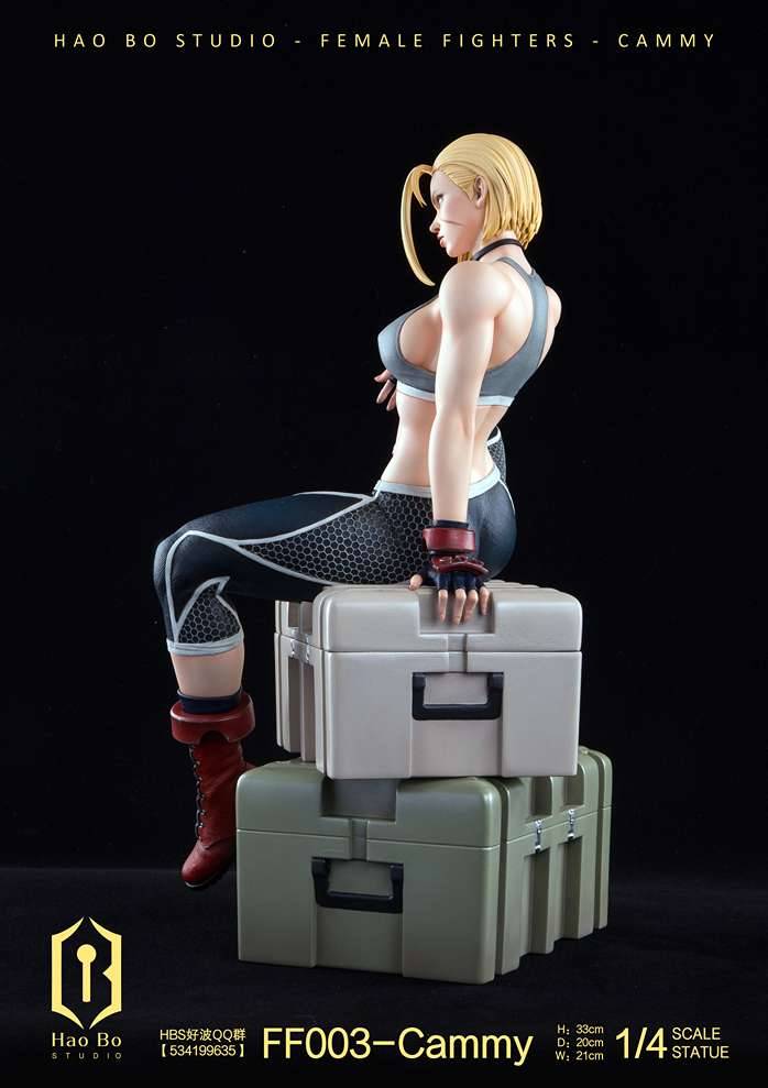 Hao Bo Studio - Cammy 1/4 | Mirai Collectibles