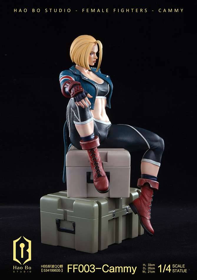 Hao Bo Studio - Cammy 1/4 | Mirai Collectibles