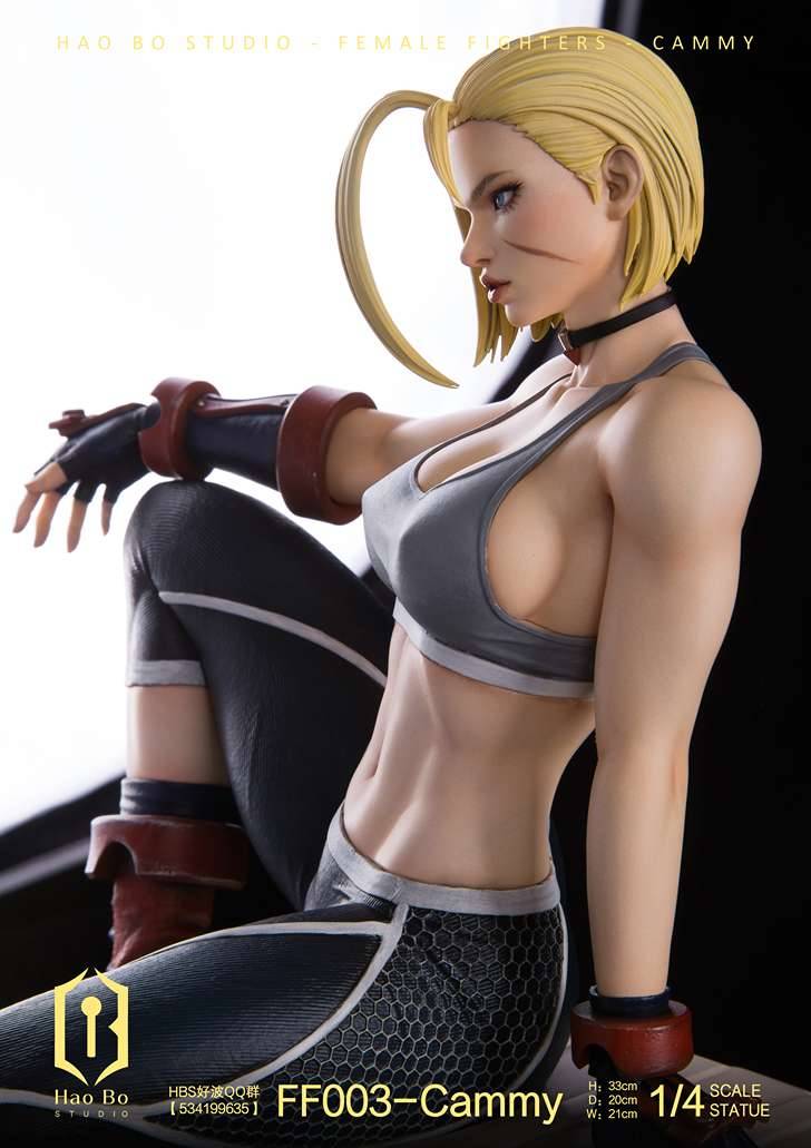 Hao Bo Studio - Cammy 1/4 | Mirai Collectibles